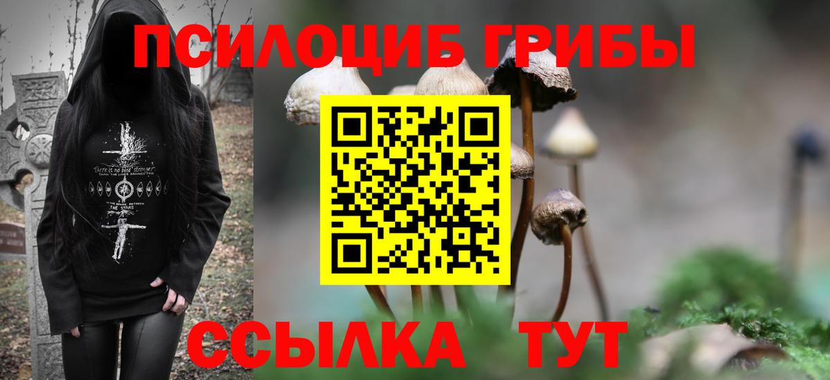 Волгоград  Галлюциногенные грибы Psilocybe  Вход с VPN 